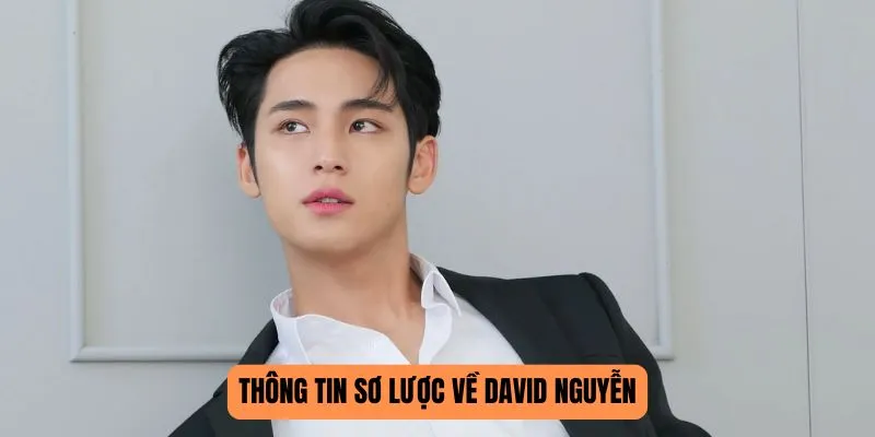Thông tin sơ lược về David Nguyễn